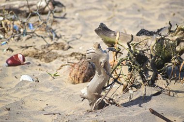 Tropik bir plajda kirlilik.
