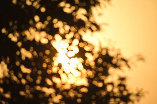 Güzel botanik fotoğrafı, doğal duvar kağıdı.