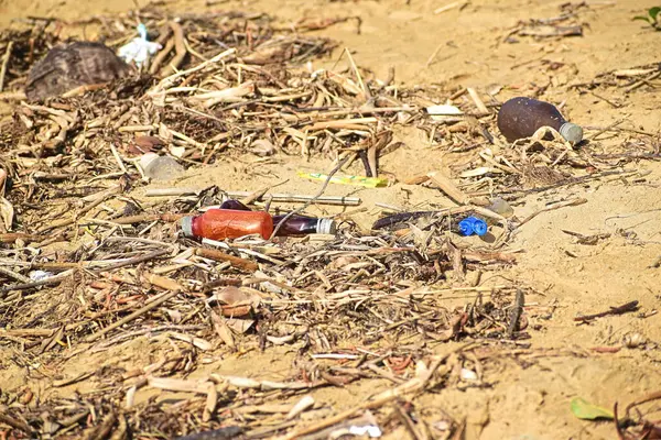 Hindistan 'da bir plajda çevre kirliliği. Plaj kirliliği kavramı.