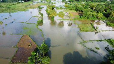 Hindistan 'ın kırsal bölgelerini su bastı.