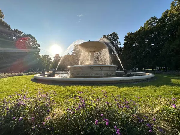 Parkta güzel bir çeşme, yemyeşil ve mor çiçeklerle çevrili su jetleriyle, berrak mavi gökyüzünün altında, güneş ışıl ışıl parlıyor..