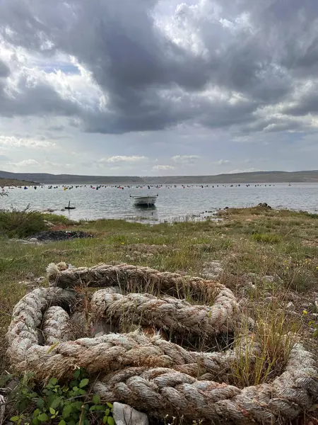 Sarmalanmış bir ip, bulutlu bir gökyüzünün altında sakin bir göl kenarında çimenli bir arazide uzanıyor..