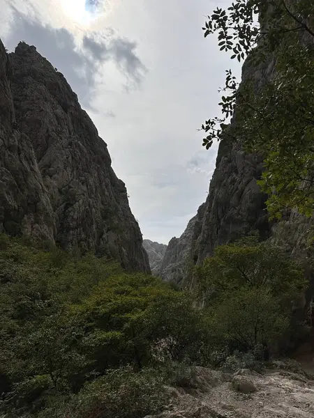 Sarp kayalıkları ve altında yemyeşil ağaçları olan dar bir dağ geçidi bulutlu bir gökyüzünün altında..