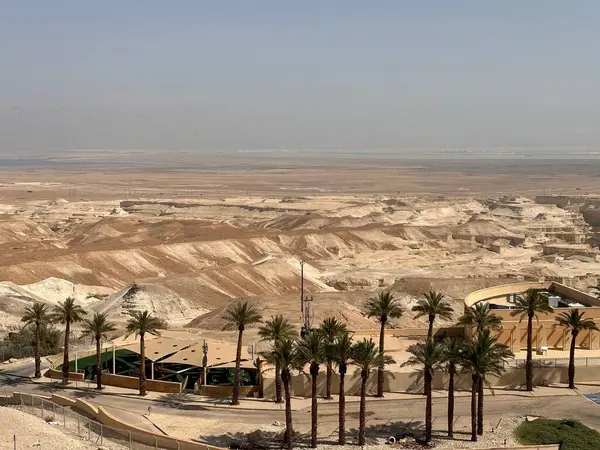 Ön planda palmiye ağaçları ve modern bir bina olan bir çöl manzarası..