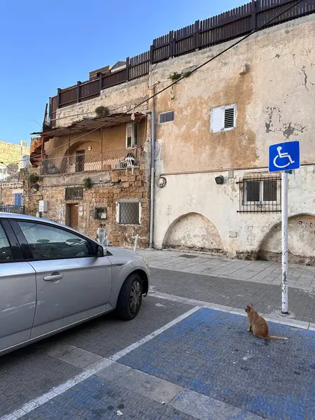 İçinde soyulmuş boya, park edilmiş gümüş bir araba ve yerde oturan bir kedinin olduğu sessiz bir sokak manzarası. Bölgede mavi engelli işareti ve kaldırım taşı kaldırımı var. Bu da kırsal bir cazibeye işaret ediyor..