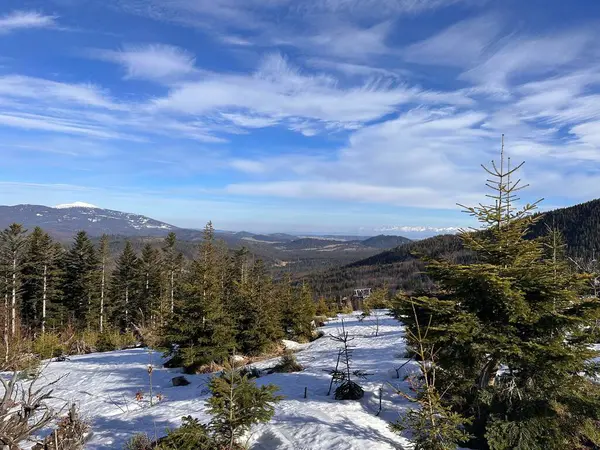Ebedi yeşil ağaçlar, kar parçaları ve ince bulutlu parlak mavi bir gökyüzü içeren dağlık bir manzaranın manzarası. Ön planda karla kaplı zemin ve uzak dağlar yer alıyor..