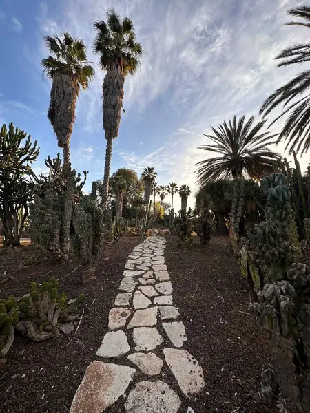 Dolambaçlı bir taş patika, çeşitli kaktüslerle dolu yemyeşil bir bahçeye ve mavi gökyüzünün altında ince bulutlu palmiye ağaçlarına çıkar..