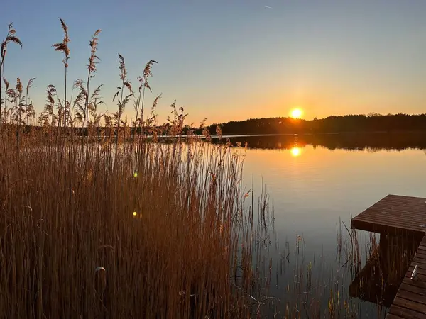 Sakin bir göl üzerinde sakin bir günbatımı ön planda uzun sazlıklar ve sağda ahşap bir rıhtım. Güneş ufukta batıyor, suyun üzerinde sıcak altın renkler bırakıyor..