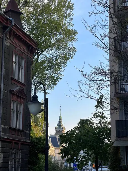 Süslü mimarisi, elektrik direği ve ağaçları olan tarihi binaların yer aldığı pitoresk bir sokak sahnesi. Arka planda, açık mavi gökyüzüne karşı kulesi olan uzun bir kule görünür..