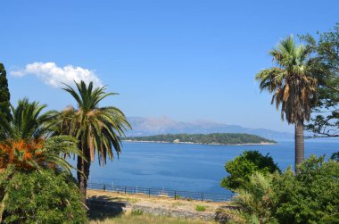Sakin bir kıyı şeridi manzarası. Palmiye ağaçları, berrak mavi gökyüzü ve su üzerinde uzak dağlar..