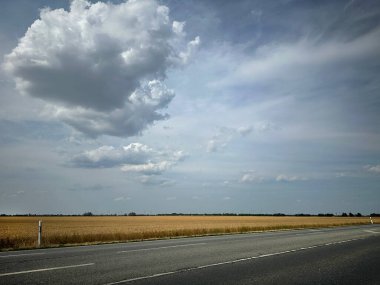 Bulutlu bir gökyüzünün altındaki altın tarlaların yanında uzun bir yol bulunan kırsal bir manzara. Sahne, yumuşak bulutlar ve mavi gökyüzü ile doğanın sükunetini yakalar..