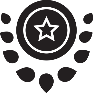 Beğeni, Favori, Kullanıcı Tasarımı, Başarı ve Dijital Kullanım için Yıldız Simgesi Simgesi