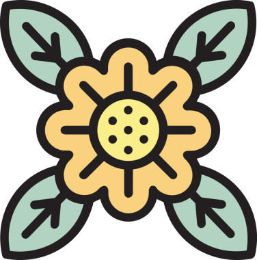 Çiçek simgesi PNG biçimi. Basit minimalist ve zarif tasarım. İlkbahar güzellik bahçesi çiçekleri, bitki örtüsü, romantik estetik süslemeler, dijital grafik, şeffaf arkaplan.