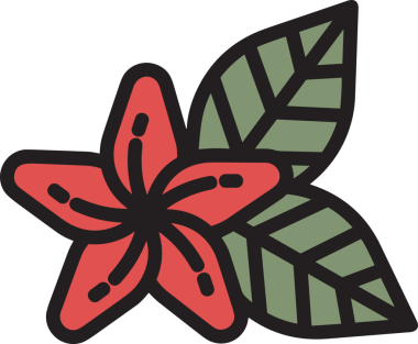 Çiçek simgesi PNG biçimi. Basit minimalist ve zarif tasarım. İlkbahar güzellik bahçesi çiçekleri, bitki örtüsü, romantik estetik süslemeler, dijital grafik, şeffaf arkaplan.