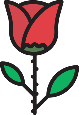 Çiçek simgesi PNG biçimi. Basit minimalist ve zarif tasarım. İlkbahar güzellik bahçesi çiçekleri, bitki örtüsü, romantik estetik süslemeler, dijital grafik, şeffaf arkaplan.