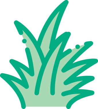 Çiçek simgesi PNG biçimi. Basit minimalist ve zarif tasarım. İlkbahar güzellik bahçesi çiçekleri, bitki örtüsü, romantik estetik süslemeler, dijital grafik, şeffaf arkaplan.