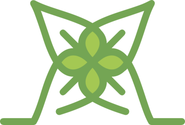 Çiçek simgesi PNG biçimi. Basit minimalist ve zarif tasarım. İlkbahar güzellik bahçesi çiçekleri, bitki örtüsü, romantik estetik süslemeler, dijital grafik, şeffaf arkaplan.