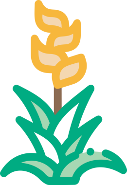 Çiçek simgesi PNG biçimi. Basit minimalist ve zarif tasarım. İlkbahar güzellik bahçesi çiçekleri, bitki örtüsü, romantik estetik süslemeler, dijital grafik, şeffaf arkaplan.