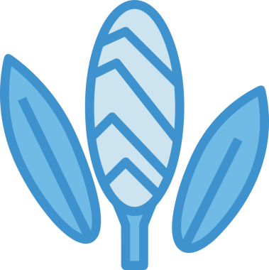 Çiçek simgesi PNG biçimi. Basit minimalist ve zarif tasarım. İlkbahar güzellik bahçesi çiçekleri, bitki örtüsü, romantik estetik süslemeler, dijital grafik, şeffaf arkaplan.