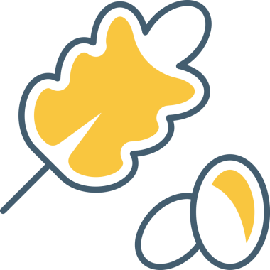 Çiçek simgesi PNG biçimi. Basit minimalist ve zarif tasarım. İlkbahar güzellik bahçesi çiçekleri, bitki örtüsü, romantik estetik süslemeler, dijital grafik, şeffaf arkaplan.