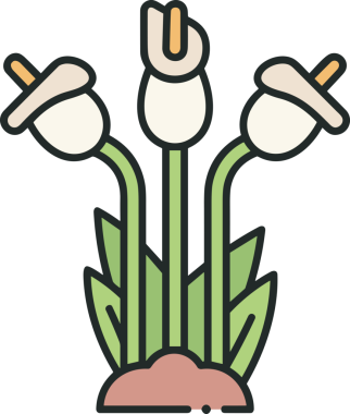 Çiçek simgesi PNG biçimi. Basit minimalist ve zarif tasarım. İlkbahar güzellik bahçesi çiçekleri, bitki örtüsü, romantik estetik süslemeler, dijital grafik, şeffaf arkaplan.