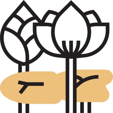 Çiçek simgesi PNG biçimi. Basit minimalist ve zarif tasarım. İlkbahar güzellik bahçesi çiçekleri, bitki örtüsü, romantik estetik süslemeler, dijital grafik, şeffaf arkaplan.