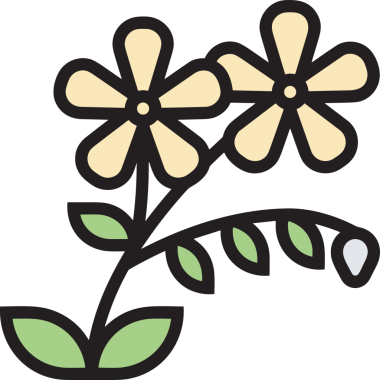 Çiçek simgesi PNG biçimi. Basit minimalist ve zarif tasarım. İlkbahar güzellik bahçesi çiçekleri, bitki örtüsü, romantik estetik süslemeler, dijital grafik, şeffaf arkaplan.