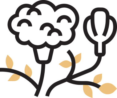 Çiçek simgesi png biçimi düz vektör çizimi basit çiçek tasarımı izole edilmiş grafik şeffaf arkaplan