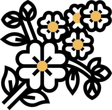 Çiçek simgesi PNG biçimi. Basit minimalist ve zarif tasarım. İlkbahar güzellik bahçesi çiçekleri, bitki örtüsü, romantik estetik süslemeler, dijital grafik, şeffaf arkaplan.