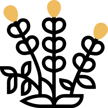 Çiçek simgesi PNG biçimi. Basit minimalist ve zarif tasarım. İlkbahar güzellik bahçesi çiçekleri, bitki örtüsü, romantik estetik süslemeler, dijital grafik, şeffaf arkaplan.