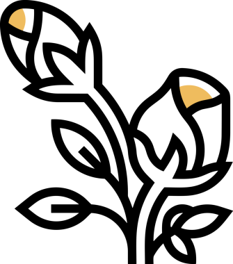 Çiçek simgesi PNG biçimi. Basit minimalist ve zarif tasarım. İlkbahar güzellik bahçesi çiçekleri, bitki örtüsü, romantik estetik süslemeler, dijital grafik, şeffaf arkaplan.