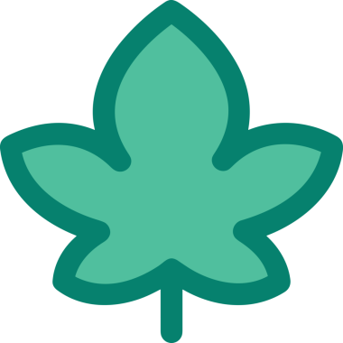 Çiçek simgesi PNG biçimi. Basit minimalist ve zarif tasarım. İlkbahar güzellik bahçesi çiçekleri, bitki örtüsü, romantik estetik süslemeler, dijital grafik, şeffaf arkaplan.