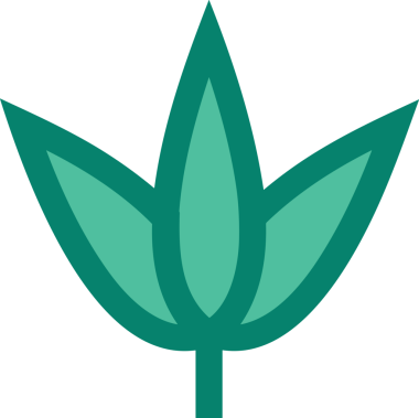 Çiçek simgesi PNG biçimi. Basit minimalist ve zarif tasarım. İlkbahar güzellik bahçesi çiçekleri, bitki örtüsü, romantik estetik süslemeler, dijital grafik, şeffaf arkaplan.