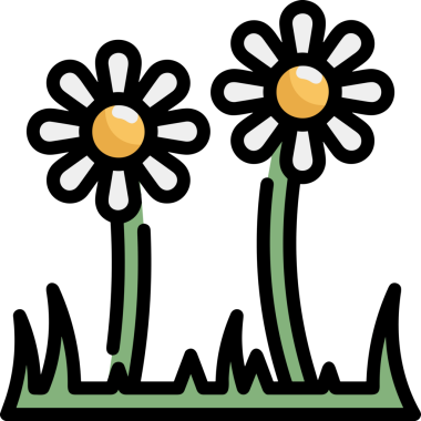 Çiçek simgesi PNG biçimi. Basit minimalist ve zarif tasarım. İlkbahar güzellik bahçesi çiçekleri, bitki örtüsü, romantik estetik süslemeler, dijital grafik, şeffaf arkaplan.