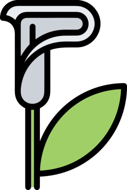 Çiçek simgesi PNG biçimi. Basit minimalist ve zarif tasarım. İlkbahar güzellik bahçesi çiçekleri, bitki örtüsü, romantik estetik süslemeler, dijital grafik, şeffaf arkaplan.