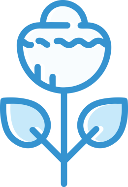 Çiçek simgesi PNG biçimi. Basit minimalist ve zarif tasarım. İlkbahar güzellik bahçesi çiçekleri, bitki örtüsü, romantik estetik süslemeler, dijital grafik, şeffaf arkaplan.