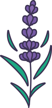 Çiçek simgesi PNG biçimi. Basit minimalist ve zarif tasarım. İlkbahar güzellik bahçesi çiçekleri, bitki örtüsü, romantik estetik süslemeler, dijital grafik, şeffaf arkaplan.