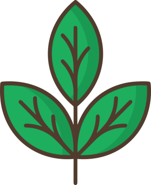 Çiçek simgesi PNG biçimi. Basit minimalist ve zarif tasarım. İlkbahar güzellik bahçesi çiçekleri, bitki örtüsü, romantik estetik süslemeler, dijital grafik, şeffaf arkaplan.