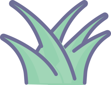 Çiçek simgesi PNG biçimi. Basit minimalist ve zarif tasarım. İlkbahar güzellik bahçesi çiçekleri, bitki örtüsü, romantik estetik süslemeler, dijital grafik, şeffaf arkaplan.