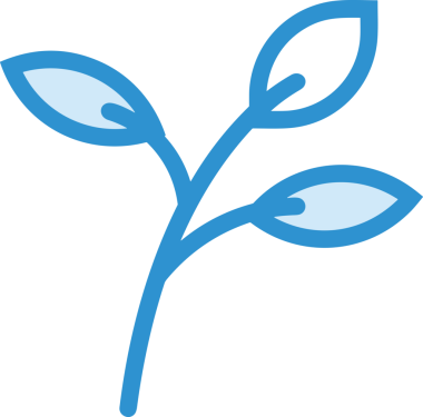 Çiçek simgesi PNG biçimi. Basit minimalist ve zarif tasarım. İlkbahar güzellik bahçesi çiçekleri, bitki örtüsü, romantik estetik süslemeler, dijital grafik, şeffaf arkaplan.