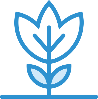 Çiçek simgesi PNG biçimi. Basit minimalist ve zarif tasarım. İlkbahar güzellik bahçesi çiçekleri, bitki örtüsü, romantik estetik süslemeler, dijital grafik, şeffaf arkaplan.