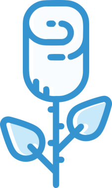 Çiçek simgesi PNG biçimi. Basit minimalist ve zarif tasarım. İlkbahar güzellik bahçesi çiçekleri, bitki örtüsü, romantik estetik süslemeler, dijital grafik, şeffaf arkaplan.