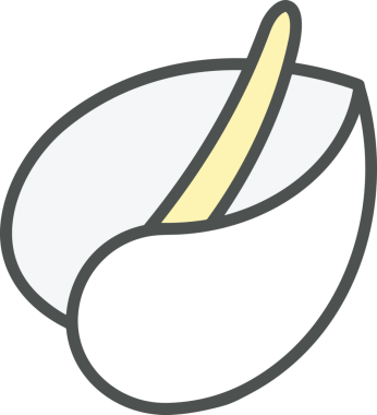 Çiçek simgesi PNG biçimi. Basit minimalist ve zarif tasarım. İlkbahar güzellik bahçesi çiçekleri, bitki örtüsü, romantik estetik süslemeler, dijital grafik, şeffaf arkaplan.