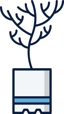 Çiçek simgesi PNG biçimi. Basit minimalist ve zarif tasarım. İlkbahar güzellik bahçesi çiçekleri, bitki örtüsü, romantik estetik süslemeler, dijital grafik, şeffaf arkaplan.