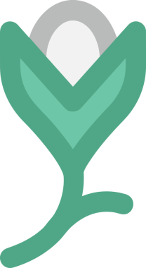 Çiçek simgesi PNG biçimi. Basit minimalist ve zarif tasarım. İlkbahar güzellik bahçesi çiçekleri, bitki örtüsü, romantik estetik süslemeler, dijital grafik, şeffaf arkaplan.