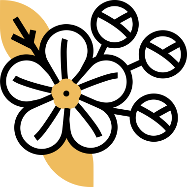 Çiçek simgesi PNG biçimi. Basit minimalist ve zarif tasarım. İlkbahar güzellik bahçesi çiçekleri, bitki örtüsü, romantik estetik süslemeler, dijital grafik, şeffaf arkaplan.