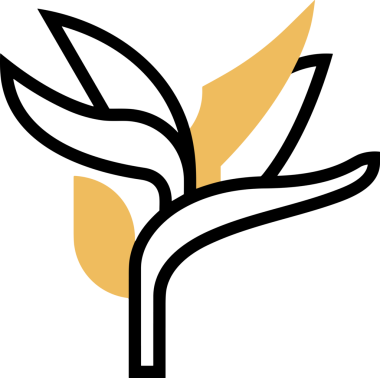 Çiçek simgesi PNG biçimi. Basit minimalist ve zarif tasarım. İlkbahar güzellik bahçesi çiçekleri, bitki örtüsü, romantik estetik süslemeler, dijital grafik, şeffaf arkaplan.