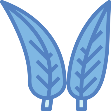 Çiçek simgesi PNG biçimi. Basit minimalist ve zarif tasarım. İlkbahar güzellik bahçesi çiçekleri, bitki örtüsü, romantik estetik süslemeler, dijital grafik, şeffaf arkaplan.