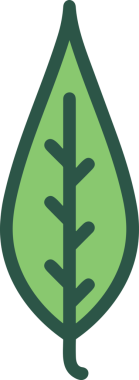 Çiçek simgesi PNG biçimi. Basit minimalist ve zarif tasarım. İlkbahar güzellik bahçesi çiçekleri, bitki örtüsü, romantik estetik süslemeler, dijital grafik, şeffaf arkaplan.