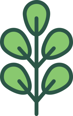 Çiçek simgesi PNG biçimi. Basit minimalist ve zarif tasarım. İlkbahar güzellik bahçesi çiçekleri, bitki örtüsü, romantik estetik süslemeler, dijital grafik, şeffaf arkaplan.